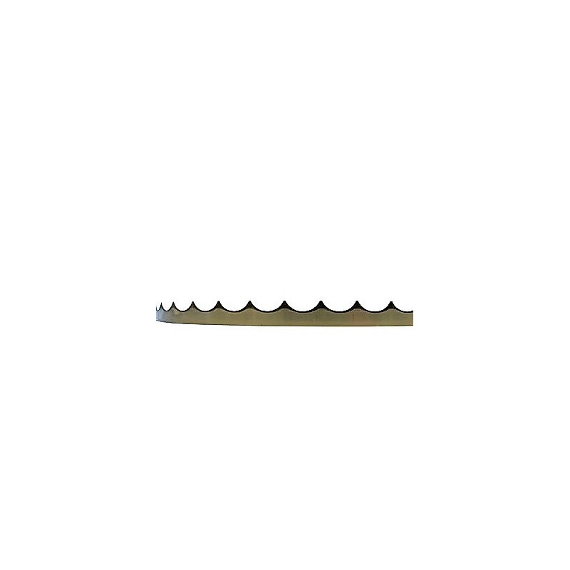 Lame concave bandzic 4920x0.45x10