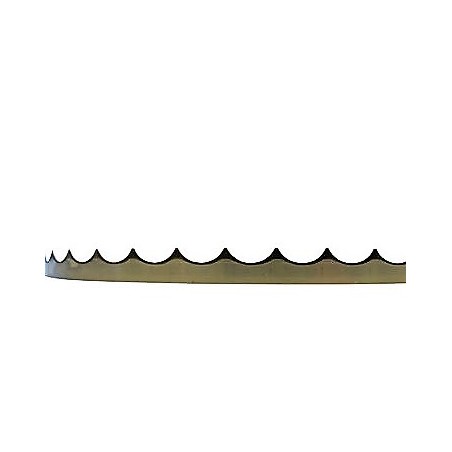 Lame concave bandzic 4920x0.45x10