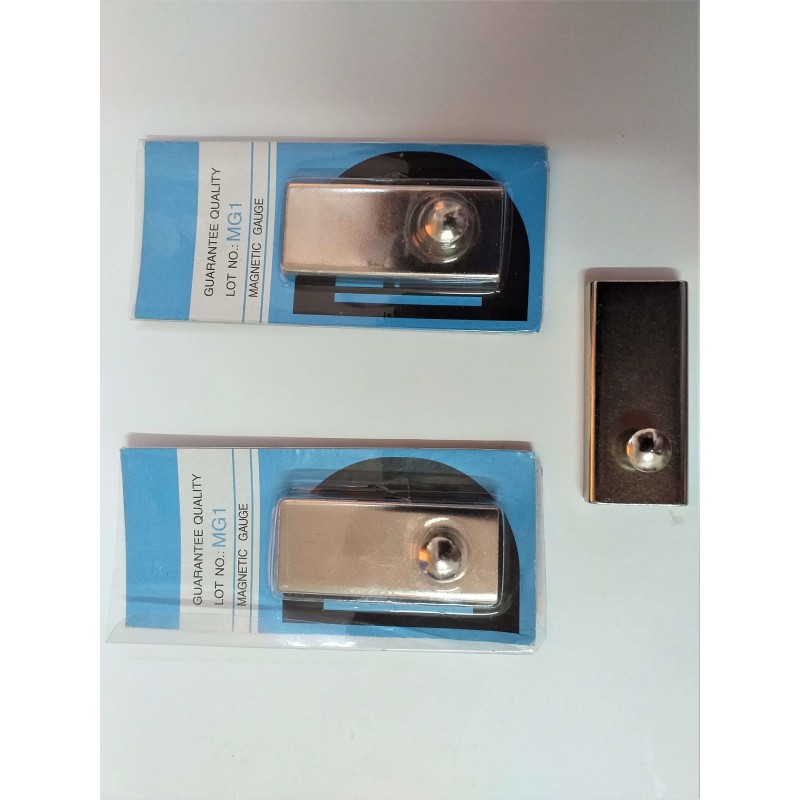 Limitator magnetic MG1