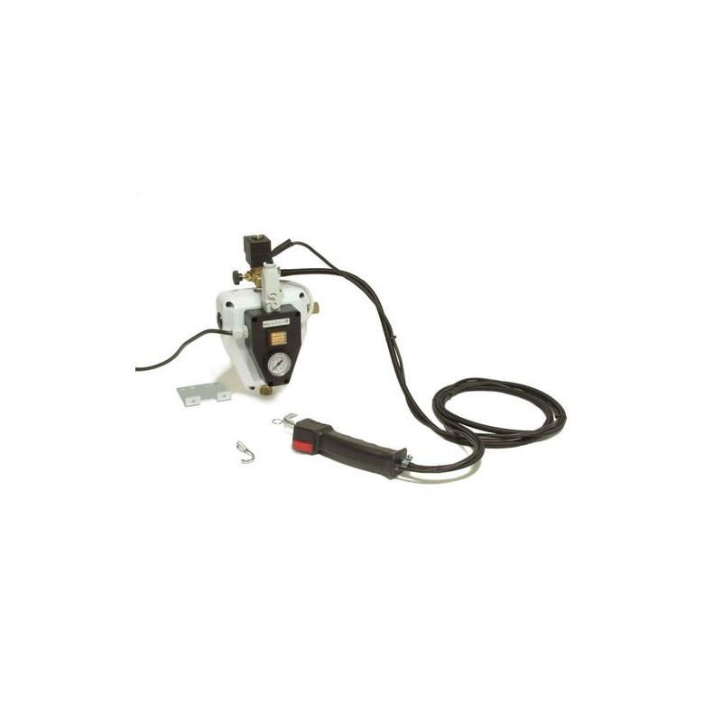 Grup pistol de abur cu separator de condens